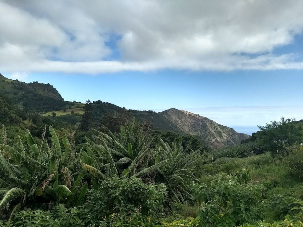 View from the patio