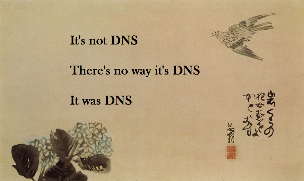 It was DNS meme